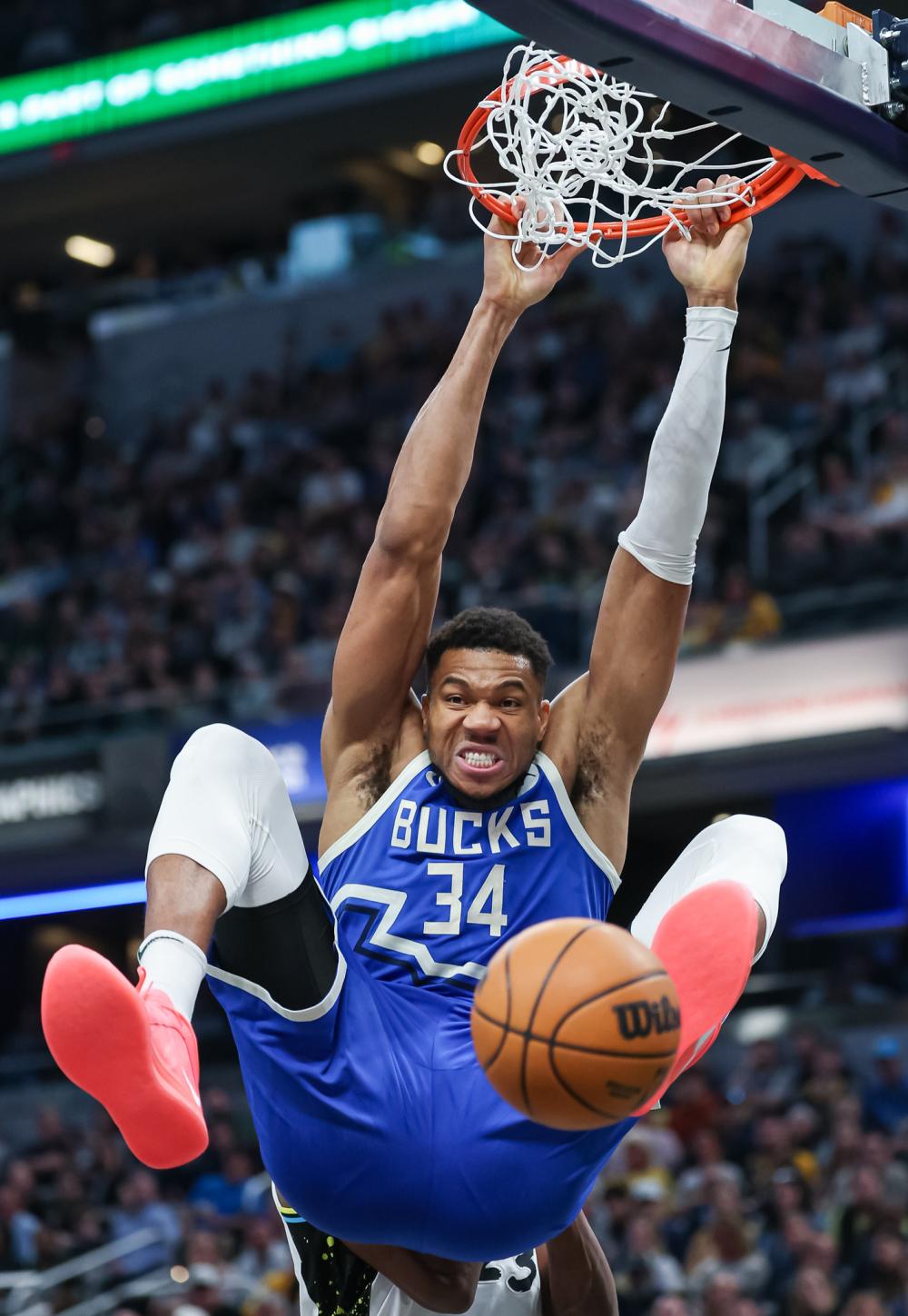 端的多样性 端的多样性